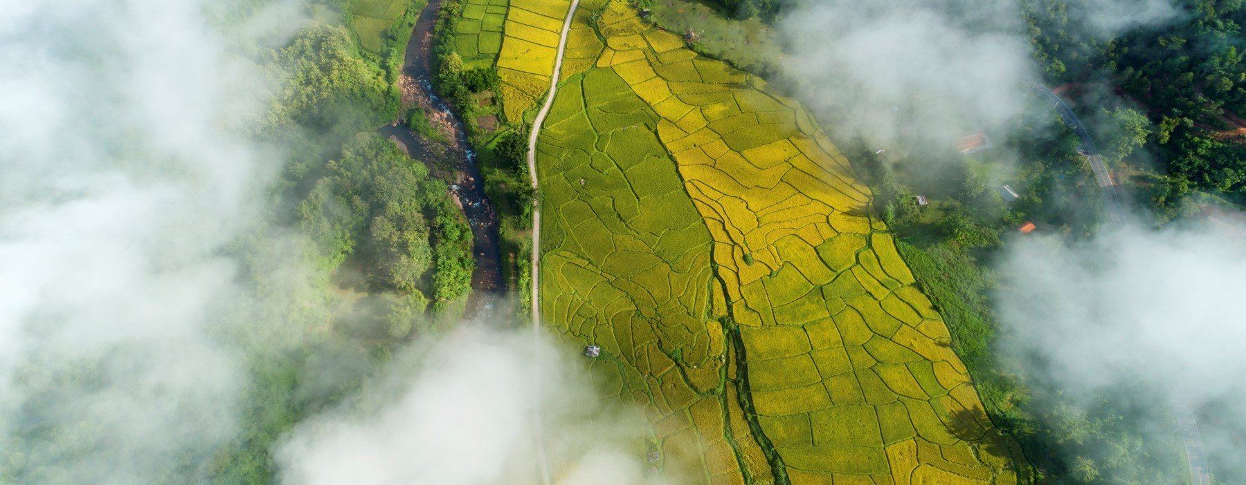 Forecast SAF & Carbon Credit Costs, Track Emissions, and Stay Compliant